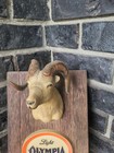 Vintage Light Olympia Beer Sign Plaque Bighorn Sheep Wildlife  Rare