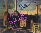 Pink Floyd Signed Animals Album Vintage Lp Roger Waters Nick Mason Beckett Loa