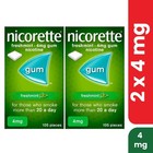 2 X Nicorette Chewing Gum 4mg Freshmint 105 Pieces - Free Shipping  exp - 03 28 