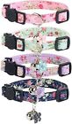 4 Pack Cat Collars Breakaway With Bell Safety Buckle Kitten Collar