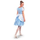 Disney Princess Adult Cinderella Costume Dress Deluxe Halloween Cosplay Women s