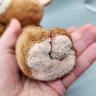 Ty Pluffies Slumbers Teddy Bear Push 9  Brown Tan Beanbag 2002 Floppy Stuffed