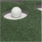 Putting Green Indoor Putt Golf Ball Practice Par 3 Mat 9 Professional Training 