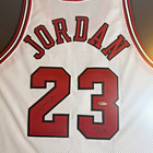 Michael Jordan 1995-96 Chicago Bulls Signed Framed Uda Mr June Jersey  423 Jsa