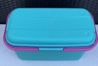 Vintage Eagle Craftstor Sewing Craft Storage Organizer Tote Bin Teal Purple Pink