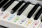Piano Keyboard Stickers For 88 76 61 54 49 37 Key Large Letter Piano Stickers Fo