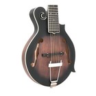 Gold Tone F-12  12-string F-style Mando-guitar With Pickup And Case