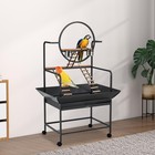 Bird Playstand 66  h Birdcage Stand Activity Play Center W perches   Ladders New