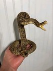 Real Prairie Rattlesnake Mount Taxidermy 24   - 30  