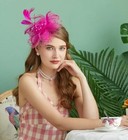 Fascinators Hat Women Tea Party Wedding Flower Cocktail Mesh Feathers Hair Clip