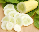 100  White Wonder Cucumber Seeds -- Heirloom -- Organic - Non Gmo --------- Rare