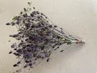 Eryngium Sea Holly Bunch Bouquet Bundle Dried Flowers Usa Blue Last One 