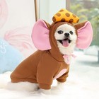 Dog Mouse Costume Pet Clothes Cat Puppy Coat Winter Hoodies Warm Sweater Jacket