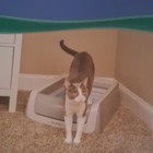 Petsafe Scoopfree Self-cleaning Litter Box With Built-in Digital Health Counter