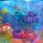 Baby Einstein Sea Dreams Sleep Soother Music Crib Toy Fish Tank Aquarium 