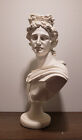Design Toscano Apollo Belvedere Bust Statue  Single  White