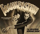 Frankenstein  1931 R-1947  Insert 14 x36  Extremely Rare Horror Movie Poster 