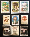 36 Topical Stamps  Mushrooms Around The World  Great Variety   Color    lot 147 