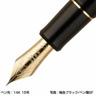 20 Off With 3 Ink Sheath Bonus Pilot Fountain Pen 743 Black Fkk 3000r B 14 Nib T