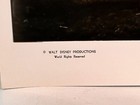 1957 Walt Disney Movie Photo  Westward Ho The Wagons Fess Parker  3