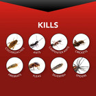 Indoor Bug Roach   Spider Insect Killer Aerosol Spray Pack Of 2 Kill On Contact