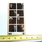 Brand New Stampin Up Good Things Grow Set Of 8 Wood Mount Rubber Stamps
