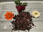3 Lb  Live European Nightcrawlers  1 3 Compost Worms