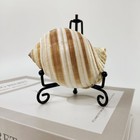 6pcs Premium Black Iron Plate Stands For Display 4 Inch  Decorative Solid Metal