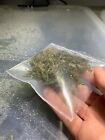  buy 2 Get 1 Free  Java Moss Vesicularia Dubyana Easy Live Aquarium Plants    