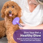 Dog Brush - Soft Pin Bristle Pet Brush For Dogs And Cats - Remove Fur  Loose    