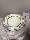Vintage Flowery Plate Set  three Different Sizes  17 Plates
