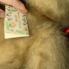 Giant Gund Bear Signature Collection  45   