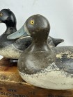 Excellent Bluebill Pair Of Duck Decoy By Gus Nelow Omro  Wi  Exceptional