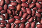Bulk Red Bean Seeds 300  Vegetable Seeds - Garden Seeds Protein - Usa