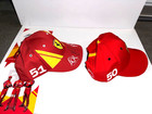 Lemans 24 Hr Winners Ferrari 499p  Factory Drivers Signed  Personal Hats Set