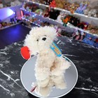 Ty Beanie Baby 2 0 - Rascal The Dog      mwmt - New Mint Tags   Rare   Vintage