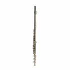 New School Student Band Silver 16 Hole C Flute With Key E   Case Accessories