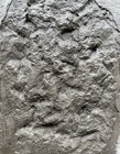Gabbro  Stone Concrete Stamp- Realistic Rock Texture 