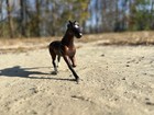Breyer Stablemate - Bay Standardbred  2022 Tsc Mystery Horse Surprise Series 4