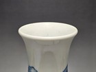 Chinese Old Ming qing Dynasty Cinnabar Blue And White Porcelain Vase With Genera