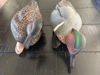 Avian-x Topflight Green Winged Teal Duck Decoys Drake And Hen Pair 2013