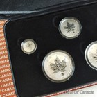 2004 Canada Silver Maple Leaf Privy Mark 5 Coin Set  coinsofcanada