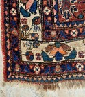 Gorgeous Rare 19th C  Victorian    Antique  Kurd Bijar   Kurdish   5  X 6 8  Rug