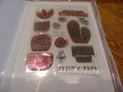 Stampin Up Cactus Cuties Clear Stamp Set Of 14 Stamps   Matching Punch
