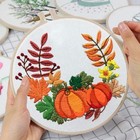 Louise Maelys Beginners Embroidery Kit Fall Pumpkin Wreath Cross Stitch Adult   