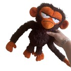 Kohl s Care s Grumpy Monkey Soft Plush stuffed Animal Yottoy Jim Panzee 12   