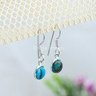 925 Sterling Silver Natural Turquoise Dangle Earrings Oval Gemstone Hook Earring