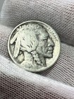 1913 Type 1 Higher Grade 3 4 Horn Buffalo Nickel -  Better Date Us Coin 