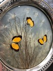 Blackstarr   Frost Butterfly Art Glass Plate   Sterling Silver 9 5 