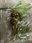 New 9 Pc Artificial Faux  Succulent Indoor Home Plant Picks Decor Green  varies 